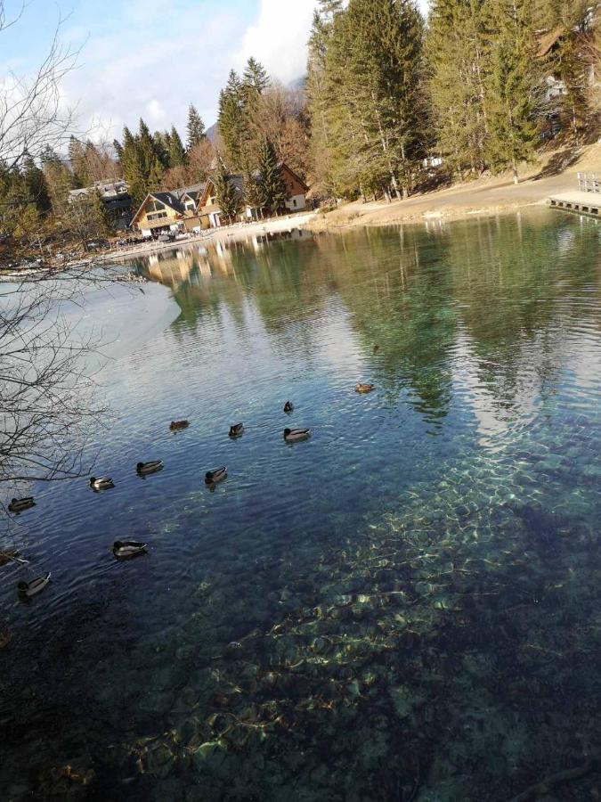 Apartma Viktorija Kranjska Gora Zewnętrze zdjęcie